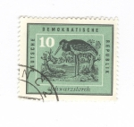Stamps Germany -  Cigüeña negra