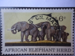 Stamps United States -  African Elephant Herd.(American Museum of Natural History)