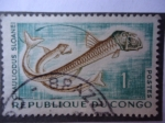 Stamps : Africa : Republic_of_the_Congo :  CHAULIODUS SLOANEI