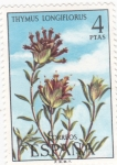 Sellos de Europa - Espa�a -  flora- Thymus longiflorus (20)