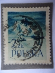 Stamps : Europe : Poland :  Equitación (Scott 838)