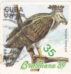 Stamps Cuba -  Brasiliana-89