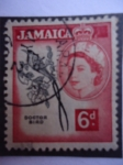 Stamps Jamaica -  Doctor Bird (Trochilus Polytmus) Manaquín de cola larga.