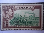 Sellos de America - Jamaica -  Sugar Industry