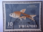 Stamps : Asia : Singapore :  Rasbora