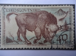 Stamps Czechoslovakia -  Ceskoslovensko.