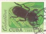 Sellos de America - Cuba -  Coleopteros