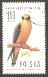 Stamps Poland -  2194 - Falco vespertinus