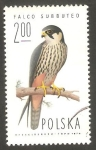 Stamps Poland -  2195 - Falco Subbuteo