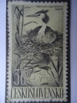 Stamps : Europe : Czechoslovakia :  Podiceos Cristatus L. -Rohác.