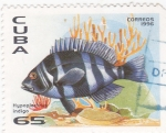 Sellos de America - Cuba -  pez tropical