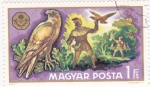 Stamps Hungary -  cetrería