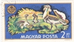 Stamps Hungary -  aves