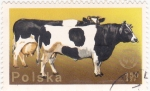 Stamps Poland -  vacas