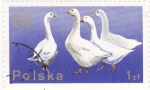 Stamps Poland -  ocas