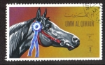 Stamps United Arab Emirates -  Umm Al Qiwain, Caballo