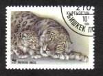 Stamps Kyrgyzstan -  Leopardo de Las Nieves