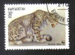 Stamps : Asia : Kyrgyzstan :  Leopardo de Las Nieves