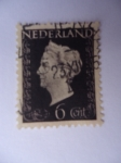Stamps Netherlands -  Wilhelmine (Holandes) Guillermina
