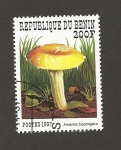 Stamps Benin -  Amanita bisporigera