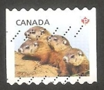 Sellos de America - Canad� -  2803 - Marmotas