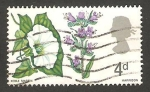Stamps United Kingdom -  466 - Elizabeth II y flor