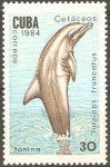 Stamps Cuba -  CATÀCEOS.  TURSIOPS  TRUNCATUS.  