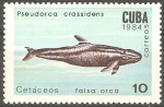 Stamps Cuba -  CATÀCEOS.  PSEUDORCA  CRASSIDENS.