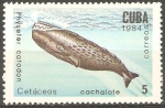 Stamps Cuba -  CETÀCEOS.  PHYSETER  CATODON.