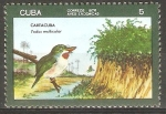 Stamps Cuba -  AVES  INDÌGENAS.  TODUS  MULTLICOLOR.