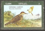 Stamps Cuba -  AVES  INDÌGENAS.  NESOCELEUS  FERNANDINAE.