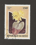 Stamps Benin -  Conophytum bilobum