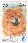 Stamps Cuba -  perros de raza- Chow-chow