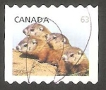 Sellos de America - Canad� -  Marmotas