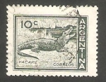 Stamps Argentina -  602 - Aligator
