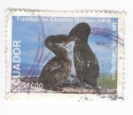 Sellos de America - Ecuador -  Fundación Charles Darwin para las islas Galapagos