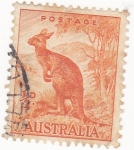Sellos de Oceania - Australia -  canguro