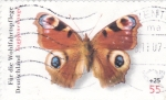 Stamps Germany -  mariposa