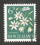 Stamps New Zealand -  389 - Flor pikiarero