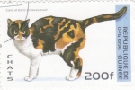 Stamps Guinea -  gato