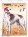 Sellos de Asia - Emiratos rabes Unidos -  perro de raza