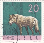 Sellos de Europa - Polonia -  zorro