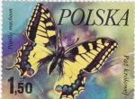 Stamps Poland -  mariposa