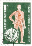 Stamps Hungary -  cuerpo humano