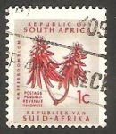 Stamps South Africa -  317 - Flor de kafferboom 