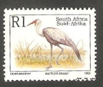 Stamps South Africa -  821 - Grus carunculatus 