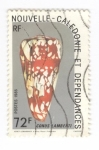 Stamps Oceania - New Caledonia -  Conus Lamberti