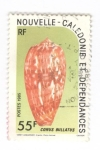 Stamps Oceania - New Caledonia -  Conus bulatus