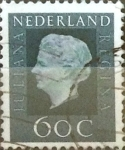 Sellos de Europa - Holanda -  Intercambio 0,20 usd 60 cents. 1972