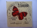 Stamps Ecuador -  Catagramma Astarte